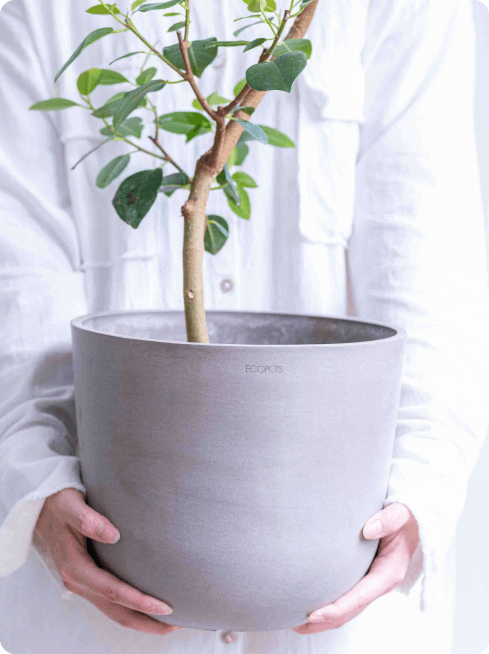 鉢カバー・植木鉢