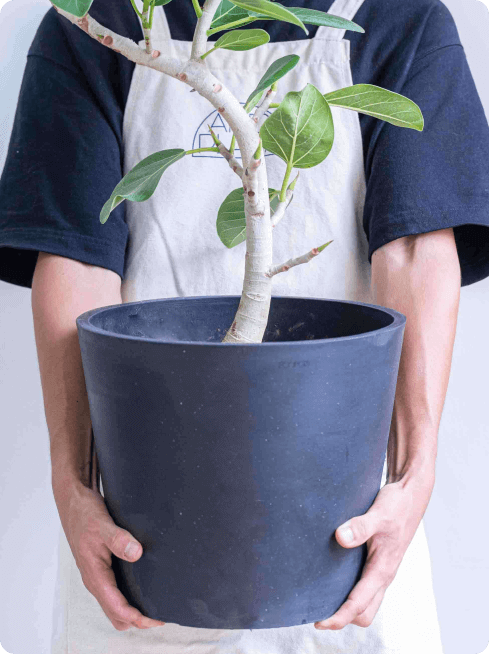 鉢カバー・植木鉢