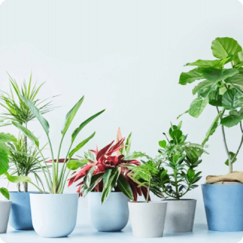 POTS 鉢カバー・植木鉢