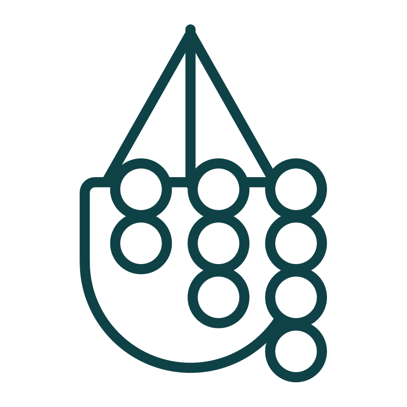 ハンギングにおすすめの観葉植物