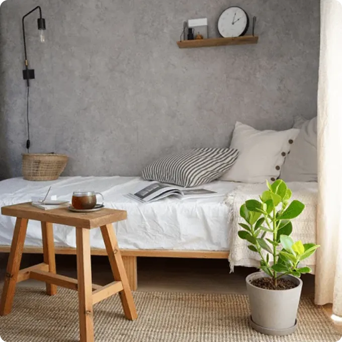 寝室におすすめの観葉植物