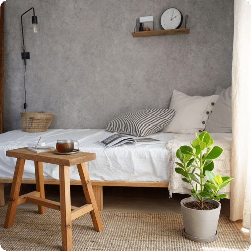 におすすめの観葉植物