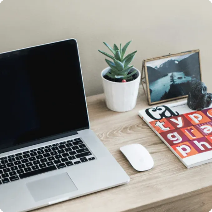 机におすすめの観葉植物