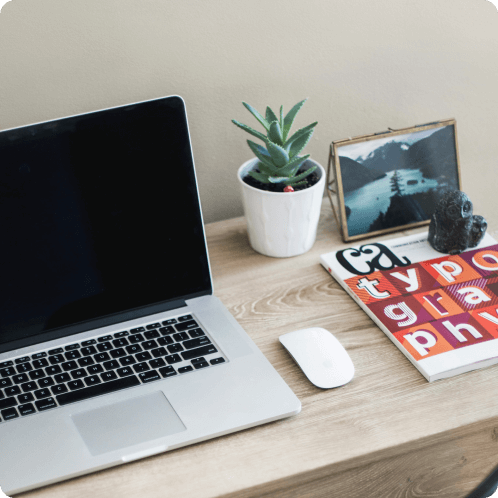 におすすめの観葉植物