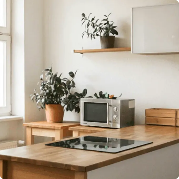 キッチンにおすすめの観葉植物