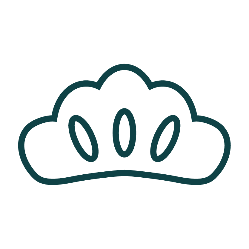 和室のお部屋におすすめの観葉植物