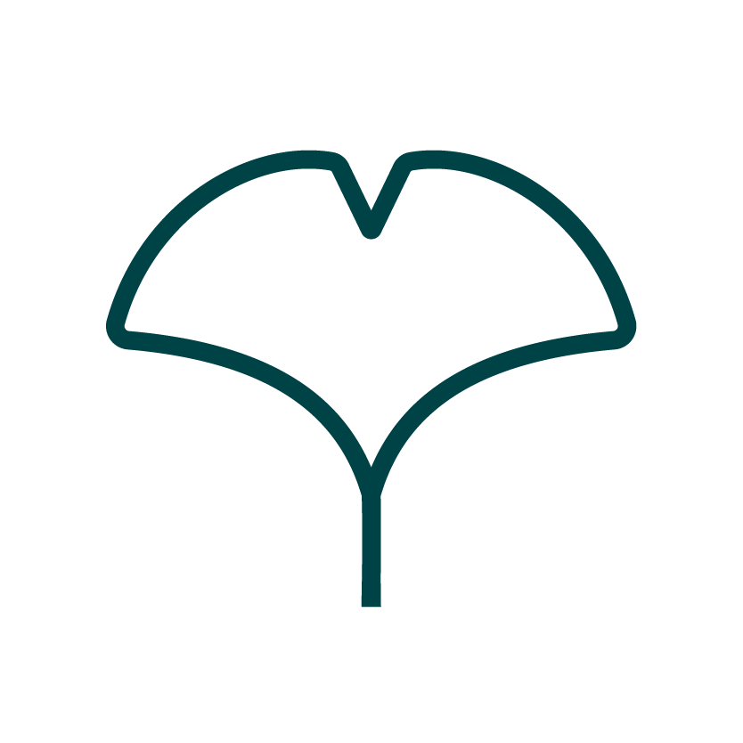 敬老の日におすすめの観葉植物