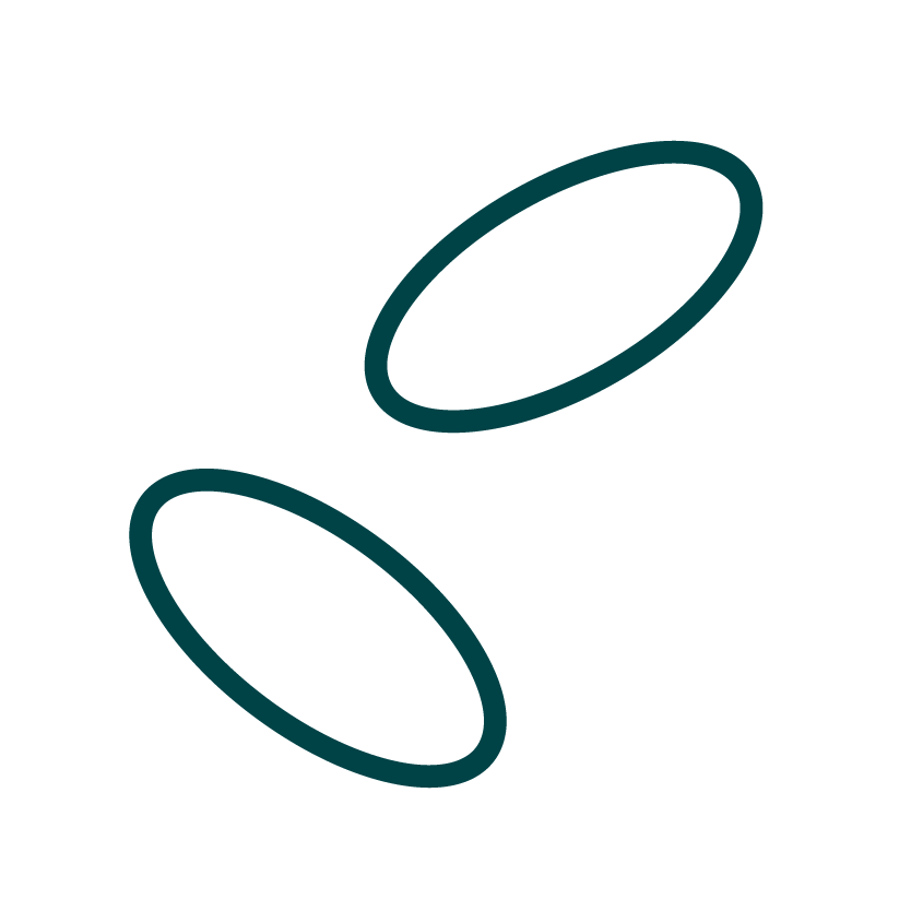 金運アップにおすすめの観葉植物