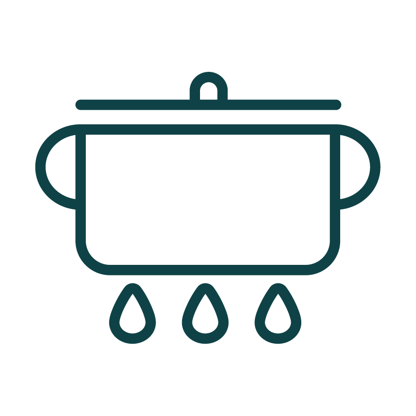 キッチンにおすすめの観葉植物