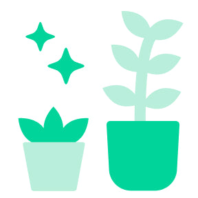 どんな観葉植物でも使用可能