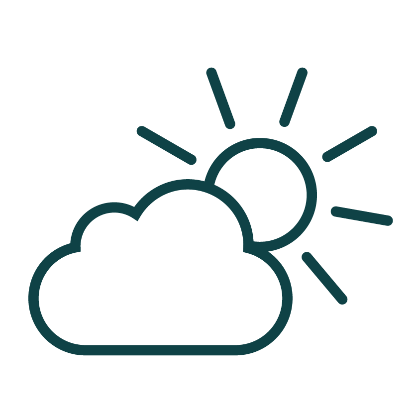 屋外におすすめの観葉植物