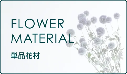 ドライフラワー花材