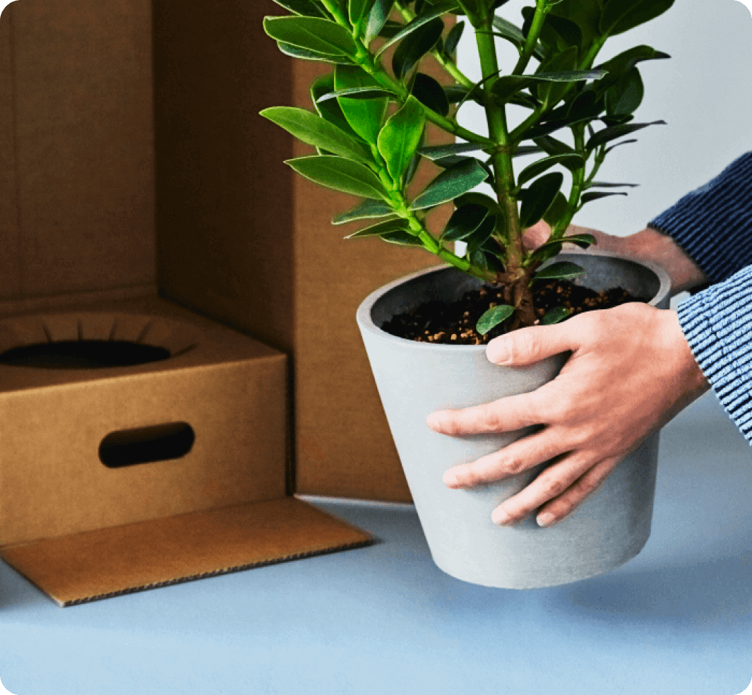 sunflowers_service_img_01