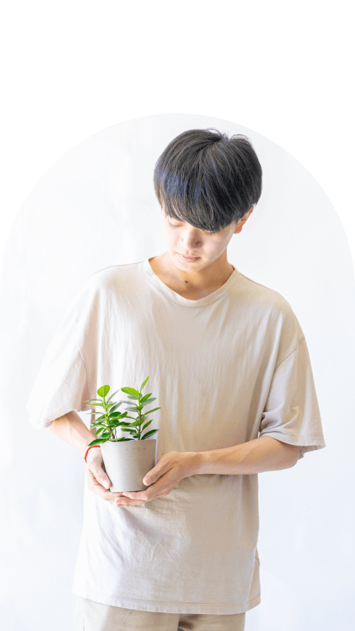 3号(Table-Sサイズ)の観葉植物