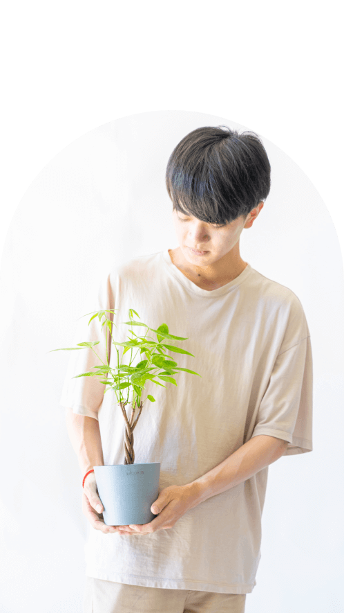 4号(Table-Mサイズ)の観葉植物