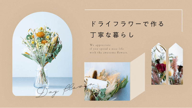 風水に効果的な観葉植物特集