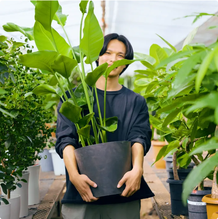 sunflowers_service_img_03