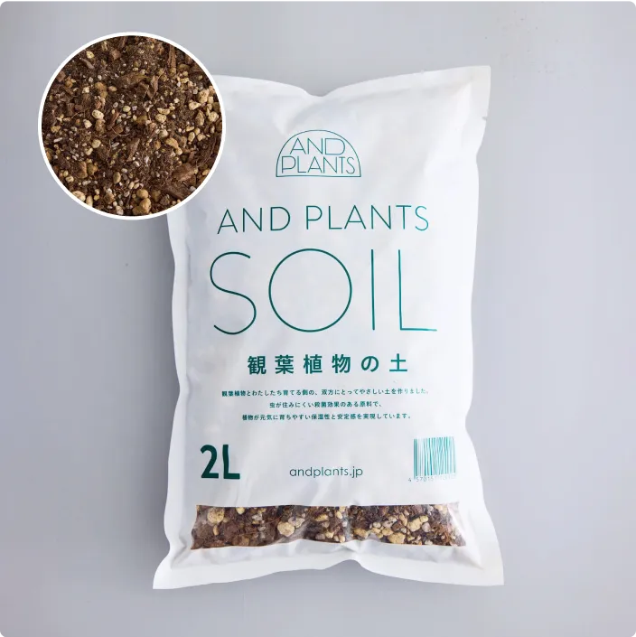 sunflowers_service_img_03