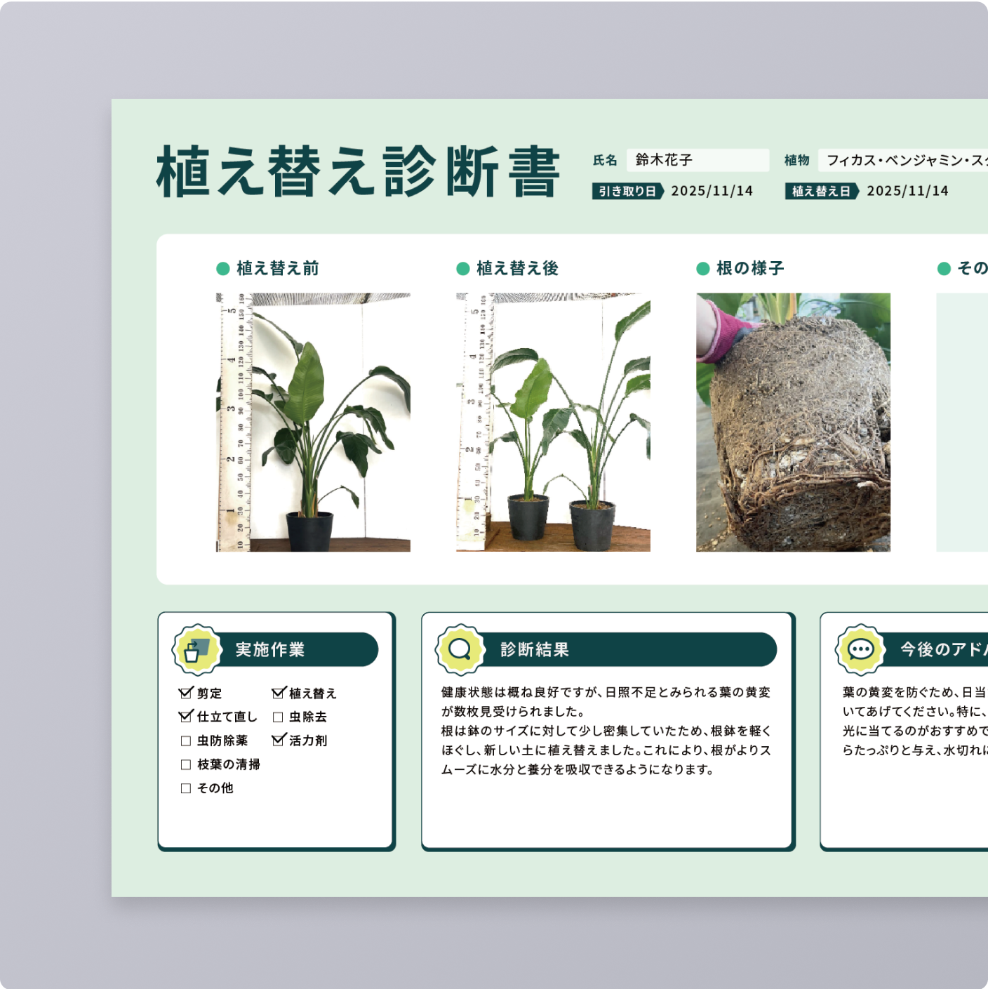 sunflowers_service_img_04