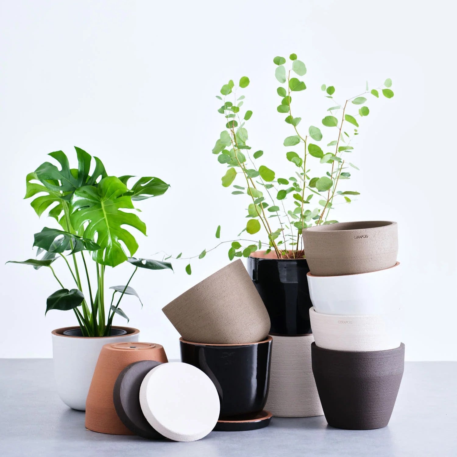 植木鉢 Table-L CERAPOTS Ralin15_point0