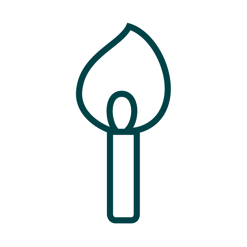 周年祝いにおすすめの観葉植物