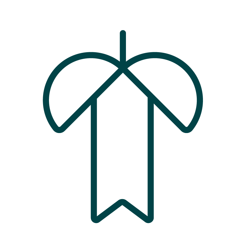 竣工祝いにおすすめの観葉植物