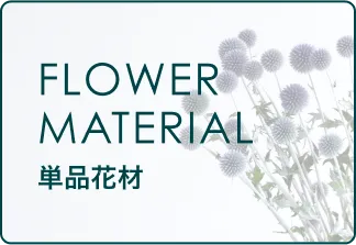 ドライフラワー花材